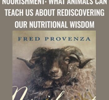 Nourishment: What Animals Can Teach Us About Rediscovering Our Nutritional Wisdom