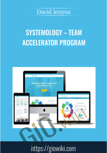 Systemology – Team  Accelerator Program - David Jenyns