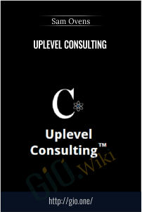 Uplevel Consulting