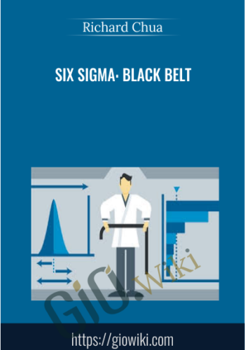 Six Sigma: Black Belt - Richard Chua