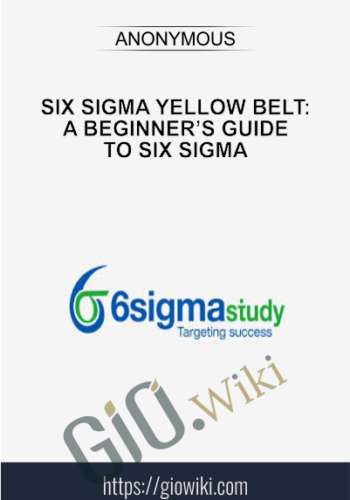Six Sigma Yellow Belt: A Beginner’s Guide to Six Sigma