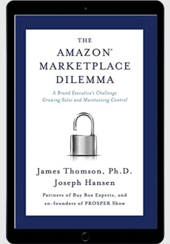 Amazon Marketplace Dilemma: A Brand Executive's Challenge Growing Sales