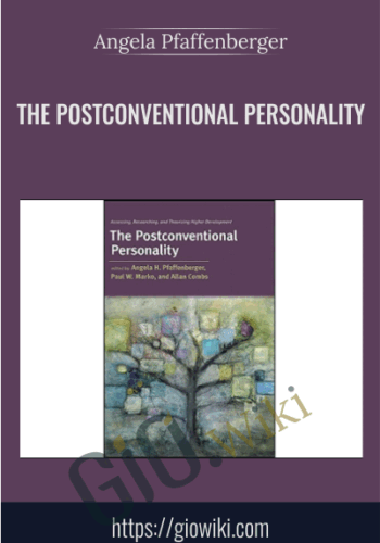 The Postconventional Personality: Assessing, Researching, and Theorizing Higher Development - Angela Pfaffenberger