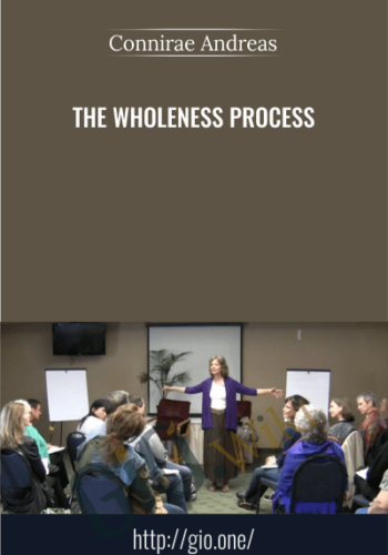The Wholeness Process - Connirae Andreas