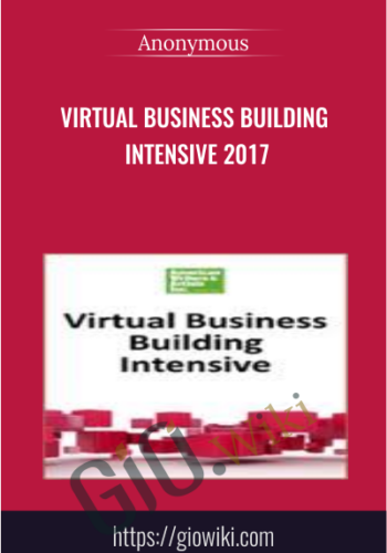 Virtual Business Building Intensive 2017