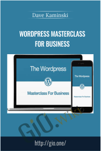 WordPress Masterclass For Business – Dave Kaminski