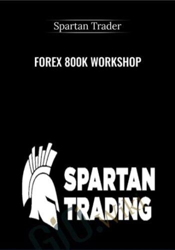 Forex 800k Workshop – Spartan Trader