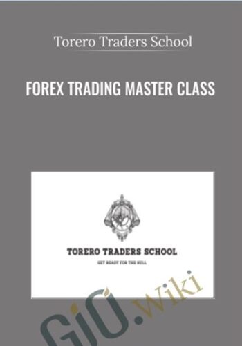Forex Trading Master Class – Torero Traders School