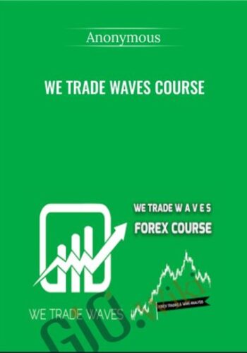 We Trade Waves Course