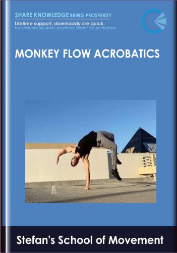 Monkey Flow Acrobatics – Stefan’s School Of Movement