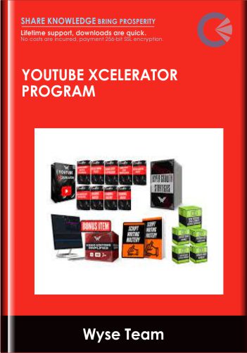 YouTube Xcelerator Program – Wyse Team