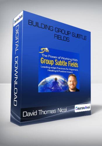 David Thomas Nicol – Building Group Subtle Fields