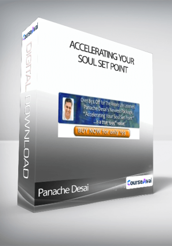 Accelerating Your Soul Set Point-Panache Desai