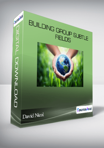 David Nicol – Building Group Subtle Fields