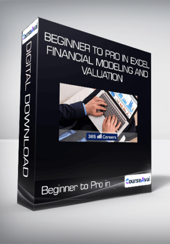 Beginner To Pro In Excel Financial Modeling And Valuation