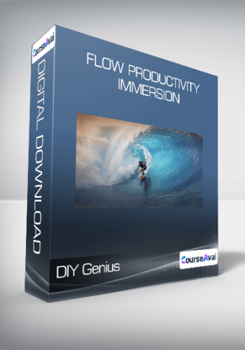 DIY Genius - Flow Productivity Immersion