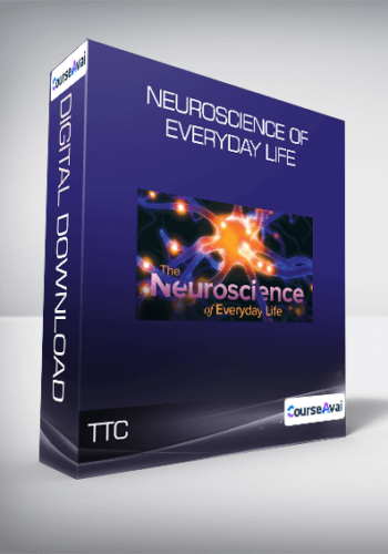 TTC – Neuroscience Of Everyday Life