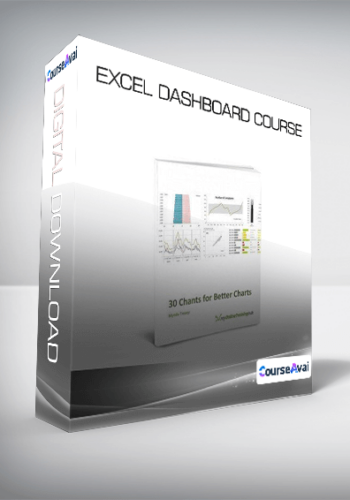 Excel Dashboard Course