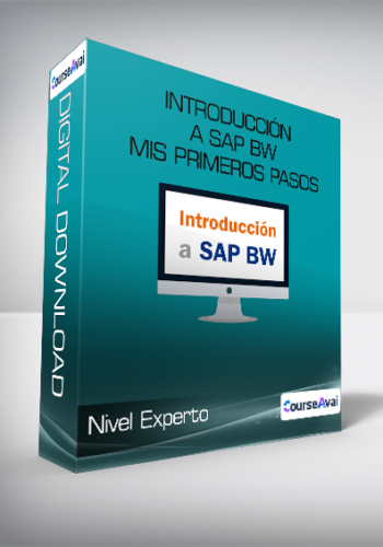 Nivel Experto – Introducción A SAP BW Mis Primeros Pasos