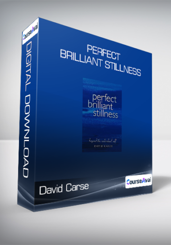 David Carse - Perfect Brilliant Stillness