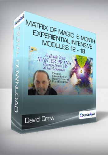 David Crow – Matrix Of Magic – 6 – Month Experiential Intensive – Modules 12 – 18