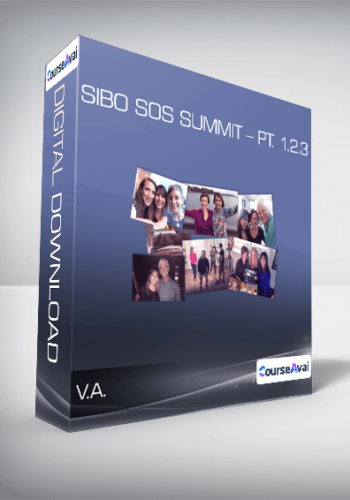 V.A. – SIBO SOS Summit – Pt. 1.2.3