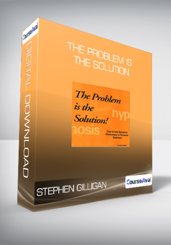 Stephen Gilligan - The Problem is The Solution