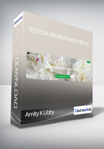 Amity K Libby – ‘Festiva Maxima’ Paper Peony