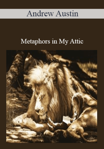 Andrew Austin - Metaphors in My Attic