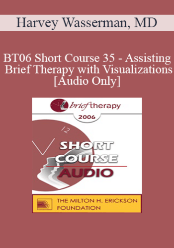[Audio Only] BT06 Short Course 35 - Assisting Brief Therapy with Visualizations - Harvey Wasserman, MD