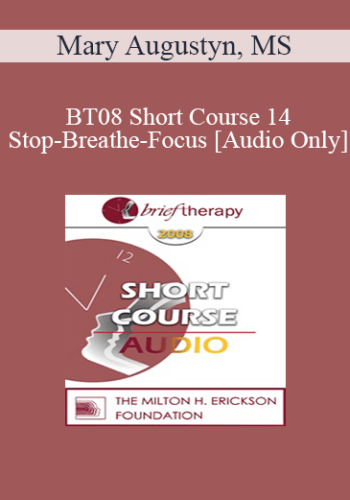 [Audio Only] BT08 Short Course 14 - Stop-Breathe-Focus: A Tool for Self-Management - Mary Augustyn, MS