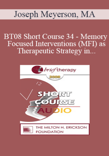 [Audio Only] BT08 Short Course 35 – Brief Therapy Approaches To Treating Anxious Children – Lynn Lyons, MSW
