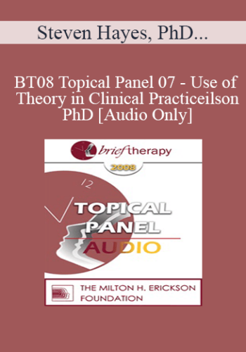 [Audio Only] BT08 Topical Panel 07 - Use of Theory in Clinical Practice - Steven Hayes, PhD, Stephen Karpman, MD, Matthew Selekman, MSW, R. Reid Wilson, PhD