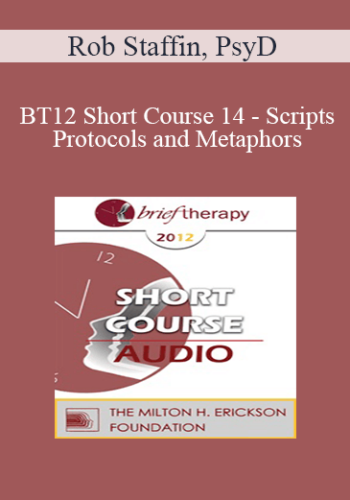 [Audio] BT12 Short Course 14 – Scripts, Protocols And Metaphors: Discovering The Power Within The Clinician – Rob Staffin, PsyD