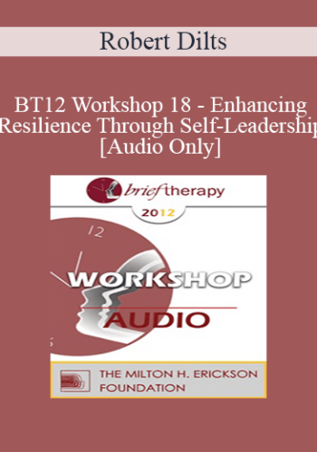 [Audio] BT12 Workshop 18 – Enhancing Resilience Through Self-Leadership – Robert Dilts