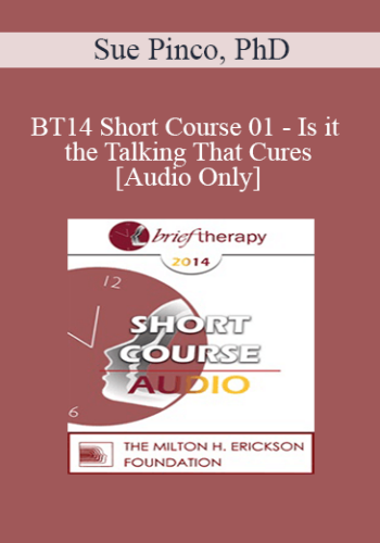 [Audio] BT14 Short Course 01 – Is It The Talking That Cures: Utilizing Silence To Make Therapy More Experiential And Improve Outcomes – Sue Pinco, PhD