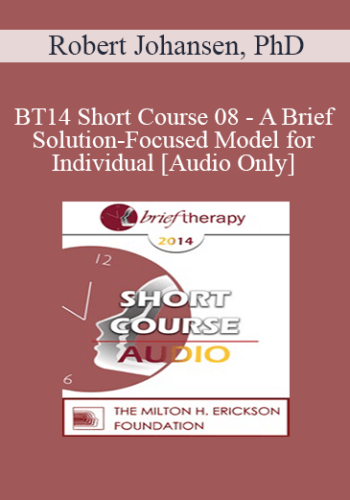 [Audio] BT14 Short Course 08 - A Brief Solution-Focused Model for Individual - Robert Johansen, PhD