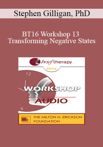 [Audio] BT16 Workshop 13 – Transforming Negative States: An Essential Skill In Generative Therapy – Stephen Gilligan, PhD