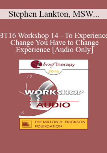 [Audio] BT16 Workshop 14 - To Experience Change You Have to Change Experience - Stephen Lankton, MSW, DAHB