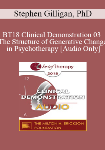 [Audio] BT18 Clinical Demonstration 03 – The Structure Of Generative Change In Psychotherapy – Stephen Gilligan, PhD