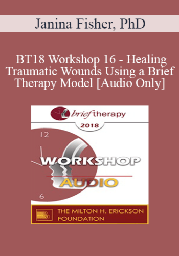 [Audio] BT18 Workshop 16 – Healing Traumatic Wounds Using A Brief Therapy Model – Janina Fisher, PhD