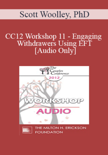 [Audio] CC12 Workshop 11 - Engaging Withdrawers Using EFT - Scott Woolley, PhD