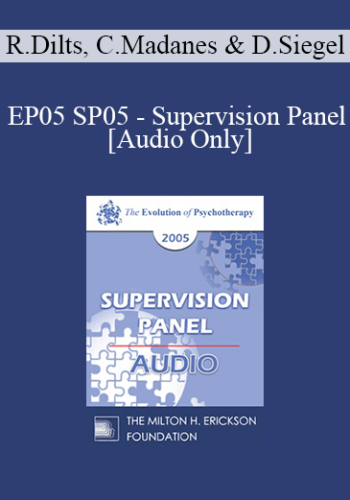 [Audio] EP05 SP05 – Supervision Panel – Robert Dilts, Cloe Madanes, Daniel Siegel, M.D.