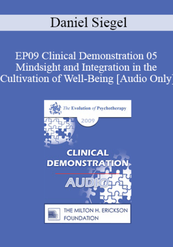 [Audio] EP09 Clinical Demonstration 05 – Mindsight And Integration In The Cultivation Of Well-Being – Daniel Siegel, MD
