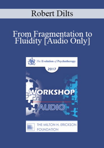 [Audio] EP17 Workshop 05 – From Fragmentation To Fluidity – Robert Dilts, BA