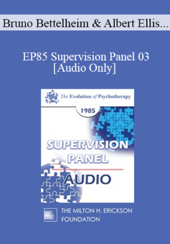 [Audio] EP85 Supervision Panel 03 – Bruno Bettelheim, Ph.D. Albert Ellis, Ph.D. Salvador Minuchin, M.D. Miriam Polster, Ph.D.