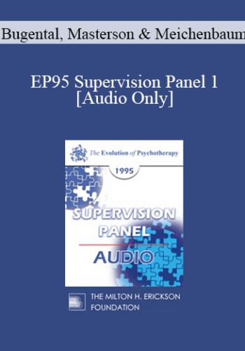 [Audio] EP95 Supervision Panel 1 - Bugental, Masterson and Meichenbaum