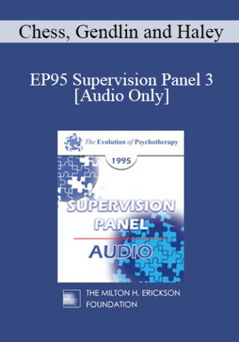 [Audio] EP95 Supervision Panel 3 - Chess, Gendlin and Haley