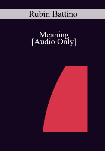 [Audio] IC07 Conversation Hour 06 – Meaning: The Life Of Viktor Frankl An Illustrated Solo Reading – Rubin Battino, MS