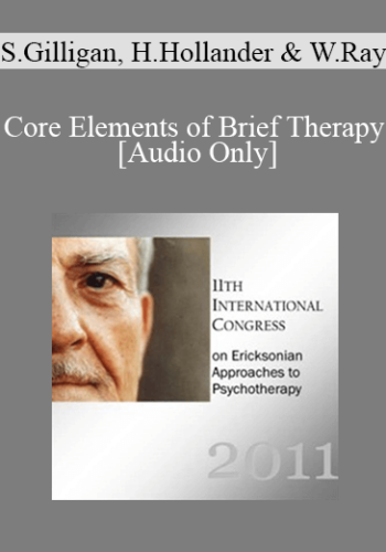 [Audio] IC11 Dialogue 04 - Core Elements of Brief Therapy - Stephen Gilligan, Harriet Hollander, and Wendel Ray